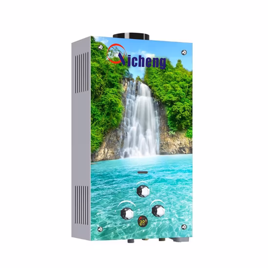 Fornecedor chinês Eletrodoméstico10L Tipo de combustão Painel de vidro personalizado montado na parede Venda quente Aquecedor de água a gás instantâneo sem tanque para banho